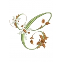 C Alphabet Fleurs C Alphabet Fleurs