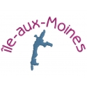 Carte de l'île-aux-Moines en mini